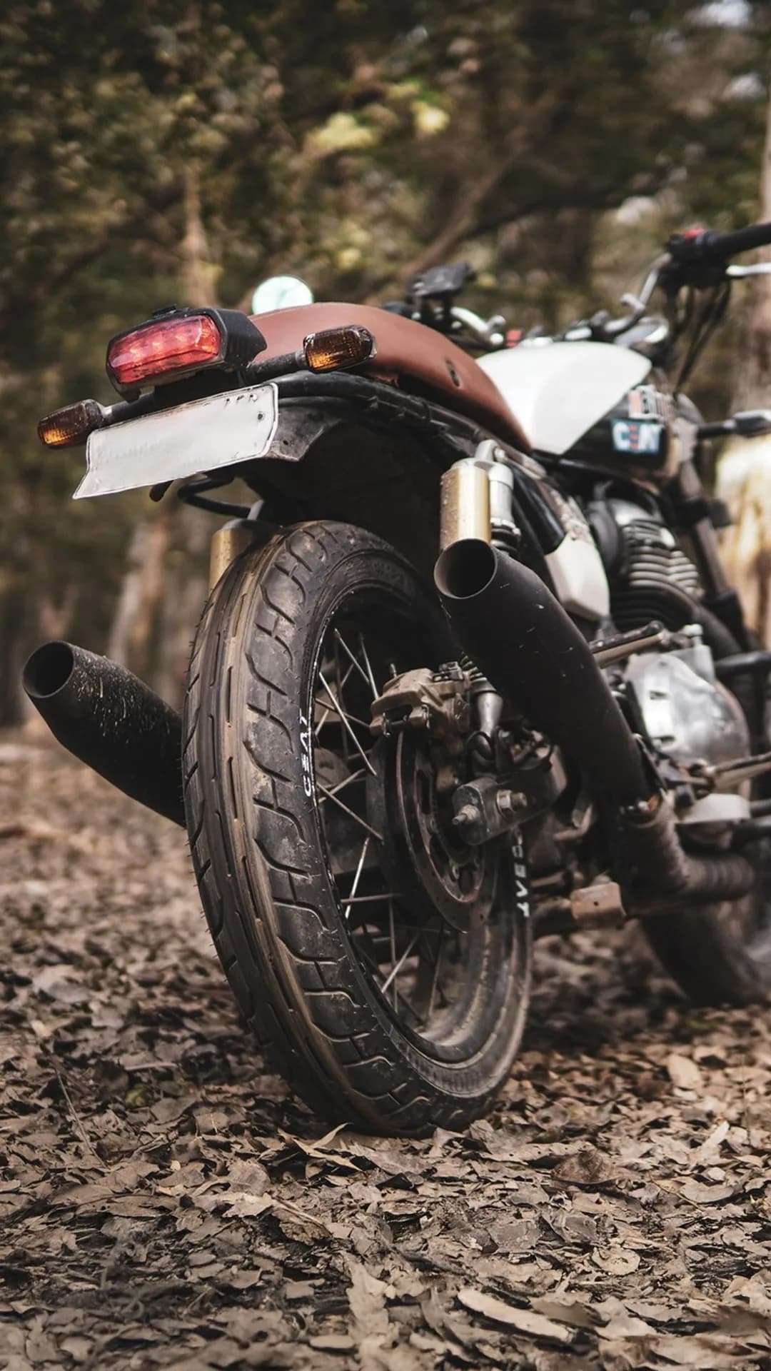 CEAT Zoom Cruz fitment 3
