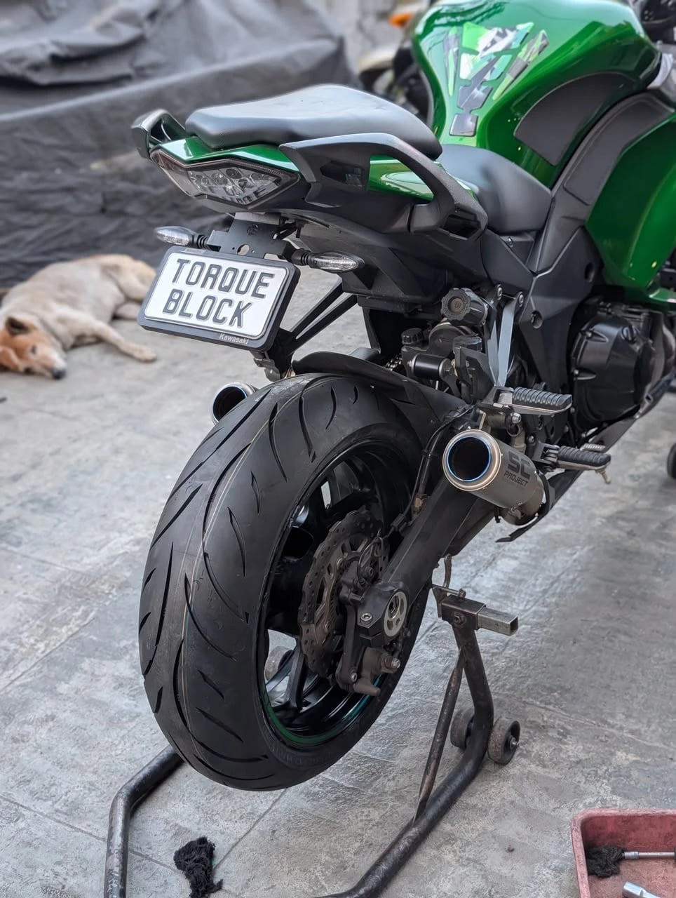 MRF Steel Brace SP 01 190/50 ZR17 Rear tyre on Kawasaki Ninja 1000